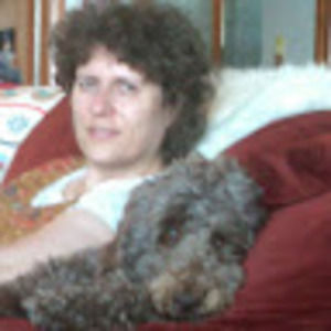 Meet your Posher, Elsa